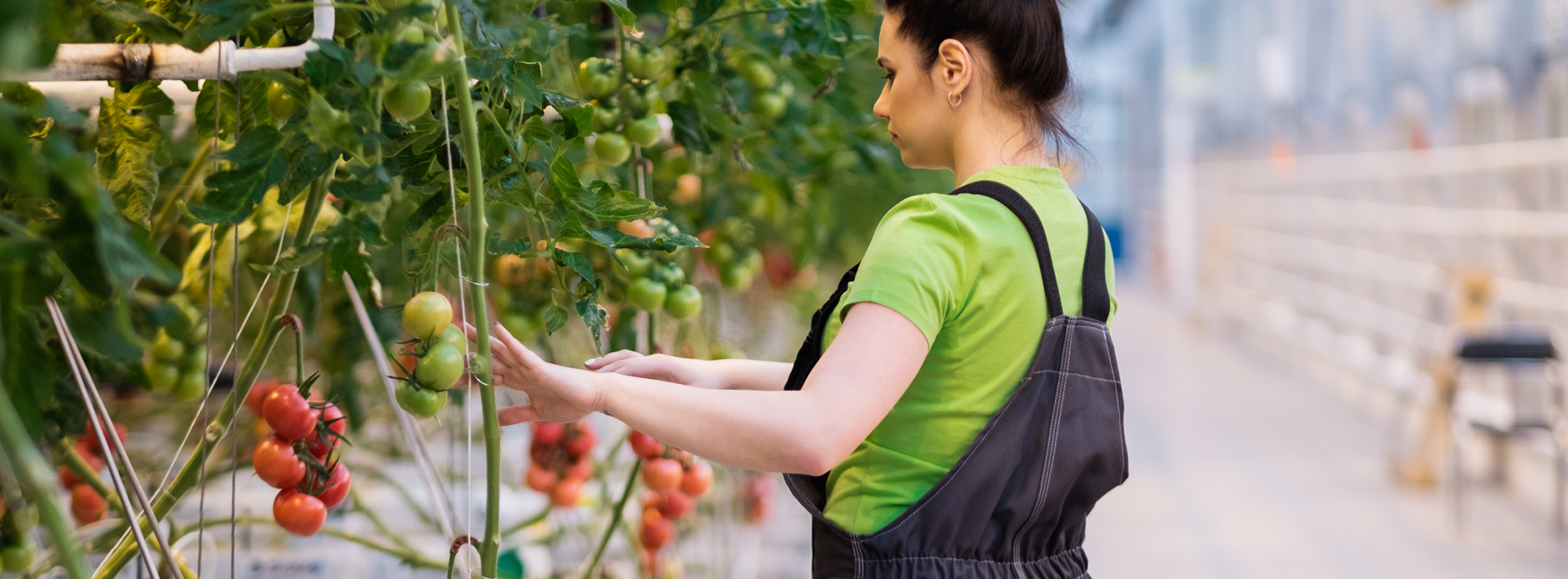 Agricultural services by Plascon Inc