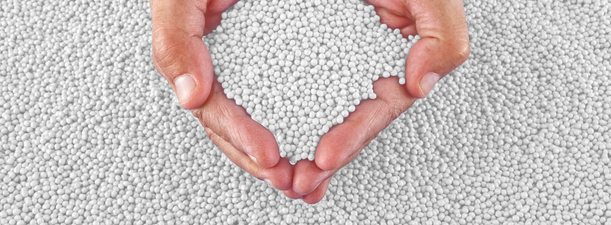 a closeup look at white plastic resin beads in someones hands for scale